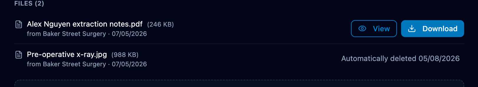 File list with one file marked automatically deleted